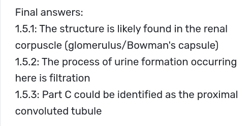 Final answers: 
1.5.1: The structure is likely found in the renal 
corpuscle (glomerulus/Bowman's capsule) 
1.5.2: The process of urine formation occurring 
here is filtration 
1.5.3: Part C could be identified as the proximal 
convoluted tubule