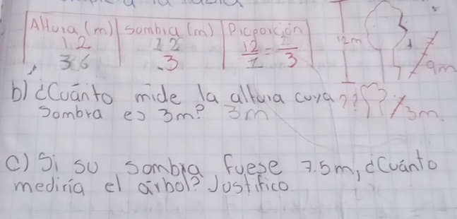 AHura (m) sombia (m) Picporàion 
12 
36 beginarrayr 12 -3endarray  12/1 = 1/3  12m A 
am 
b)cCuānto mide la altura coya?? fom 
Sombra es 3m? 3m
() Si su sombra, fuese 7. 5m, dCuanta 
meding el arbol? Josfifico