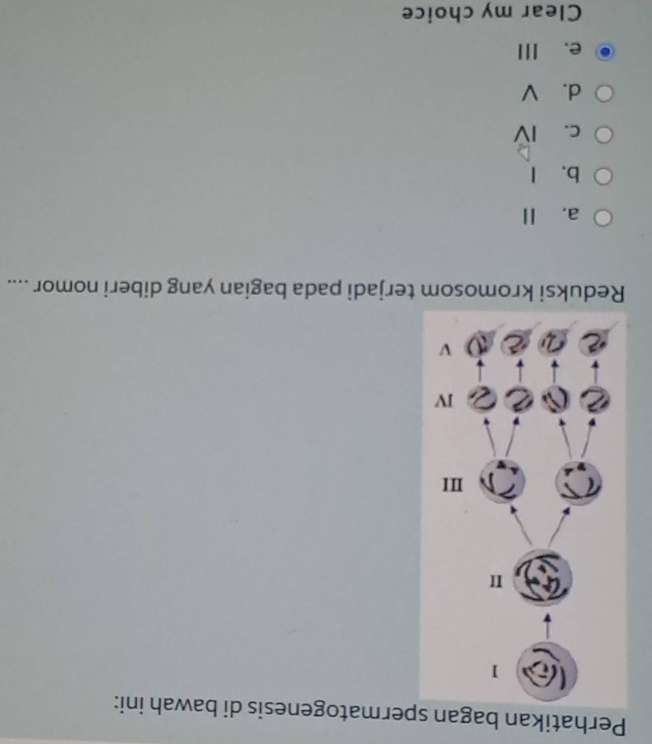 Perhatikan bagan spermatogenesis di bawah ini:
Reduksi kromosom terjadi pada bagian yang diberi nomor ....
a. Ⅱ
b, l
c. Ⅳ
d. V
e. II
Clear my choice