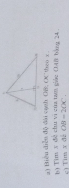 Biểu diễn độ dài cạnh OB; OC theo x. 
b) Tìm x để chu vi của tam giác OAB bằng 24. 
c) Tìm x đề OB=2OC.