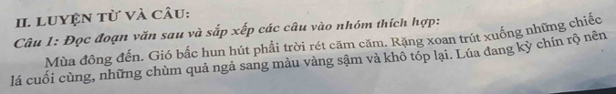 LuYệN từ và câu: 
Câu 1: Đọc đoạn văn sau và sắp xếp các câu vào nhóm thích hợp: 
Mùa đông đến. Gió bắc hun hút phẩi trời rét căm căm. Rặng xoan trút xuống những chiếc 
lá cuối cùng, những chùm quả ngả sang màu vàng sậm và khô tóp lại. Lúa đang kỳ chín rộ nên