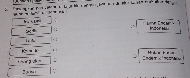 Jumíán spésies
5. Pasangkan pernyataan di lajur kiri dengan jawaban di lajur kanan berkaitan dengan
fauna endemik di Indonesia!
Jalak Bali
Fauna Endemik
Indonesia
Gorila
Unta
Komodo Bukan Fauna
Endemik Indonesia
Orang utan
Buaya