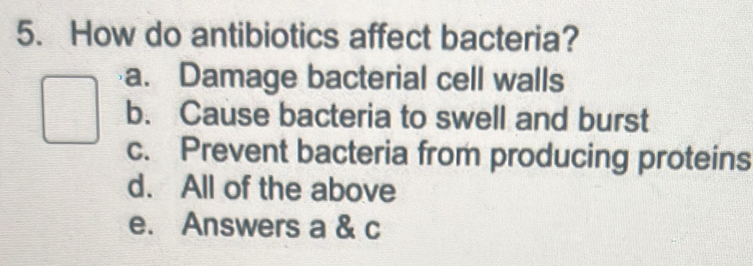 How do antibiotics affect bacteria?
a. Damage bacterial cell walls
b. Cause bacteria to swell and burst
c. Prevent bacteria from producing proteins
d. All of the above
e. Answers a & c