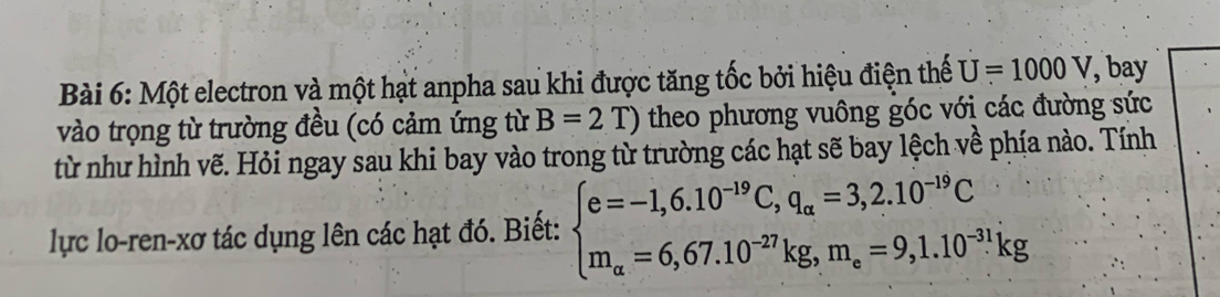 Một electron và một hạt anpha sau khi được tăng tốc bởi hiệu điện thể U=1000V , bay 
vào trọng từ trường đều (có cảm ứng từ B=2T) theo phương vuông góc với các đường sức 
từ như hình vẽ. Hỏi ngay sau khi bay vào trong từ trường các hạt sẽ bay lệch về phía nào. Tính 
lực lo-ren-xơ tác dụng lên các hạt đó. Biết: beginarrayl e=-1,6.10^(-19)C,q_alpha =3,2.10^(-19)C m_alpha =6,67.10^(-27)kg,m_e=9,1.10^(-31)kgendarray.