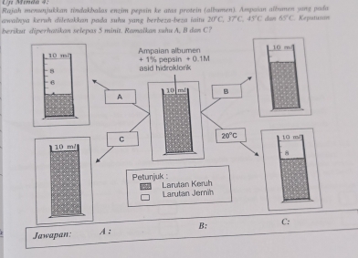 Lrz Menda 4:
Rajah menunjukkan tindakbalas enzim pepsin ke atas protein (albumen). Ampaian aïbumen yang paía
awalnya keruh diletakkan pada suhu yang berbeza-beza iaitu 20°C,37°C,45°C dan 65°C Keputue
berikut diperhatikan selepas 5 minit. Ramaïkan suhu A, B dan C?
Jawapan: A: B: