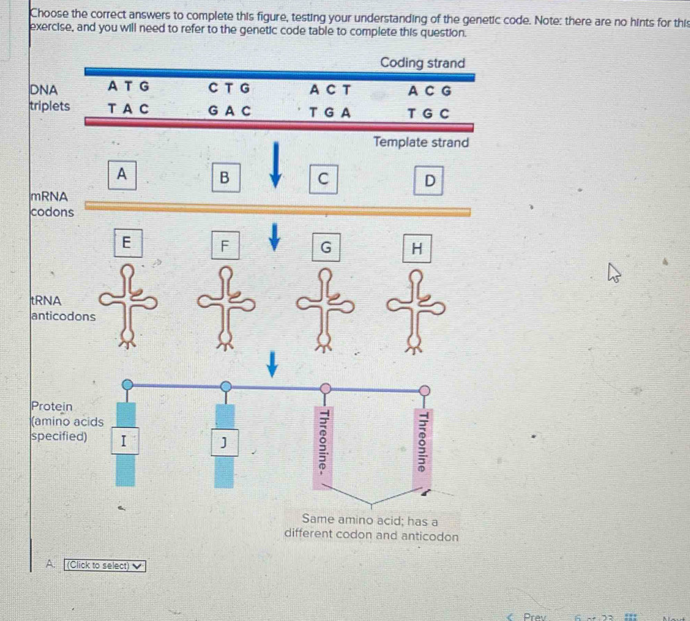 Solved: Choose the correct answers to complete this figure, testing ...