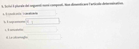 Scrivi il plurale dei seguenti nomi composti. Non dimenticare l’articolo determinativo.
. Il cavalcavia cavalcavia
b. Il soprannome
c. Il senzatetto
d. La calzamaglia