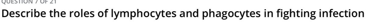 Of 21 
Describe the roles of lymphocytes and phagocytes in fighting infection