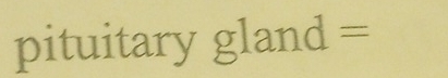 pituitary gland =