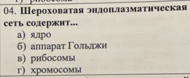 Шероховатая эндоπлазматическая
сеть содержит...
а) ядро
б) алπпарат Γольджи
в) рибосомы
г) хромосомы