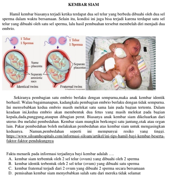 KEMBAR SIAM
Hamil kembar biasanya terjadi ketika terdapat dua sel telur yang berbeda dibuahi oleh dua sel
sperma dalam waktu bersamaan. Selain itu, kondisi ini juga bisa terjadi karena terdapat satu sel
telur yang dibuahi oleh satu sel sperma, lalu hasil pembuahan tersebut membelah diri menjadi dua
embrio.
Sekiranya pembagian satu embrio berlaku dengan sempurna,maka anak kembar identik
berhasil. Walau bagaimanapun, kadangkala pembagian embrio berlaku dengan tidak sempurna.
Ini menyebabkan kedua embrio masih melekat satu sama lain pada bagian tertentu. Dalam
keadaan ini,kedua embrio akan membentuk dua fetus yang masih melekat pada bagian
kepala,dada,punggung,ataupun dibagian perut. Biasanya anak kembar siam dikeluarkan dari
uterus ibu melalui pembedahan. Kembar siam mungkin berkongsi satu jantung,otak atau organ
lain. Pakar pembedahan boleh melakukan pembedahan atas kembar siam untuk mengasingkan
keduanya. Namun,pembedahan seperti ini mempunyai resiko yang tinggi.
https://www.siloamhospitals.com/informasi-siloam/artikel/ini-tips-hamil-bayi-kembar-beserta-
faktor-faktor-pendukungnya
Fakta menarik pada informasi terjadinya bayi kembar adalah ….
A. kembar siam terbentuk oleh 2 sel telur (ovum) yang dibuahi oleh 2 sperma
B. kembar identik terbentuk oleh 2 sel telur (ovum) yang dibuahi satu sperma
C. kembar fraternal terjadi dari 2 ovum yang dibuahi 2 sperma secara bersamaan
D. pemisahan kembar siam menyebabkan salah satu dari mereka tidak selamat