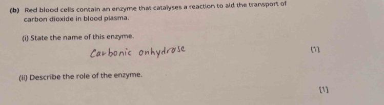 Red blood cells contain an enzyme that catalyses a reaction to aid the transport of 
carbon dioxide in blood plasma. 
(i) State the name of this enzyme. 
[1] 
(ii) Describe the role of the enzyme. 
[1]