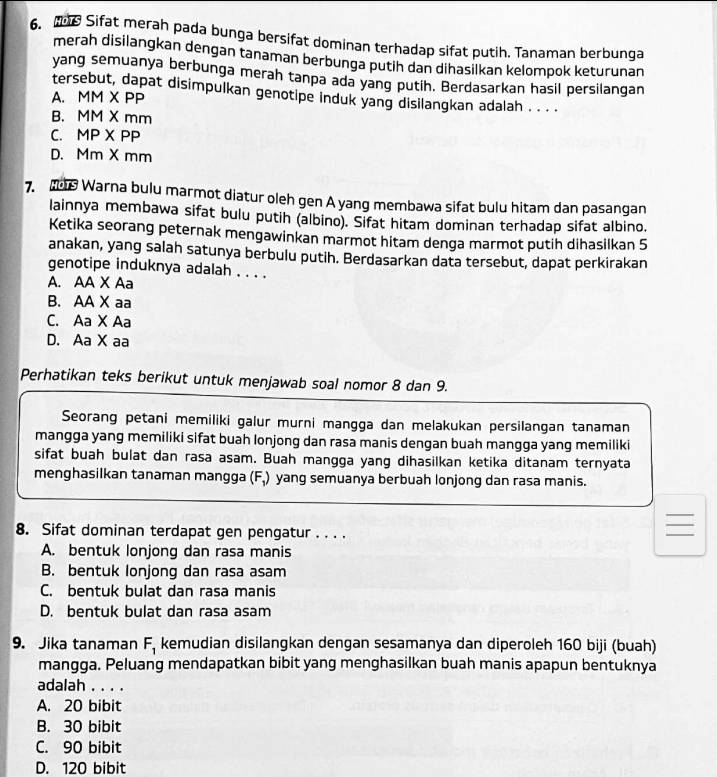 206 Sifat merah pada bunga bersifat dominan terhadap sifat putih. Tanaman berbunga
merah disilangkan dengan tanaman berbunga putih dan dihasilkan kelompok keturunan
yang semuanya berbunga merah tanpa ada yang putih. Berdasarkan hasil persilangan
ter , dapat disimpulkan genotipe induk yang disilangkan adalah . . . .
A. MM × F MM mu
B. M 1M X mm
C. MP* PP
D. Mm X mm
7.  Warna bulu marmot diatur oleh gen A yang membawa sifat bulu hitam dan pasangan
lainnya membawa sifat bulu putih (albino). Sifat hitam dominan terhadap sifat albino.
Ketika seorang peternak mengawinkan marmot hitam denga marmot putih dihasilkan 5
anakan, yang salah satunya berbulu putih. Berdasarkan data tersebut, dapat perkirakan
genotipe induknya adalah . . . .
A. AA X Aa
B. AA X aa
C. Aa X Aa
D. Aa X aa
Perhatikan teks berikut untuk menjawab soal nomor 8 dan 9.
Seorang petani memiliki galur murni mangga dan melakukan persilangan tanaman
mangga yang memiliki sifat buah lonjong dan rasa manis dengan buah mangga yang memiliki
sifat buah bulat dan rasa asam. Buah mangga yang dihasilkan ketika ditanam ternyata
menghasilkan tanaman mangga ( r_3 yang semuanya berbuah lonjong dan rasa manis.
_
8. Sifat dominan terdapat gen pengatur . . . .
_
A. bentuk lonjong dan rasa manis
B. bentuk lonjong dan rasa asam
C. bentuk bulat dan rasa manis
D. bentuk bulat dan rasa asam
9. Jika tanaman F_1 kemudian disilangkan dengan sesamanya dan diperoleh 160 biji (buah)
mangga. Peluang mendapatkan bibit yang menghasilkan buah manis apapun bentuknya
adalah . . . .
A. 20 bibit
B. 30 bibit
C. 90 bibit
D. 120 bibit