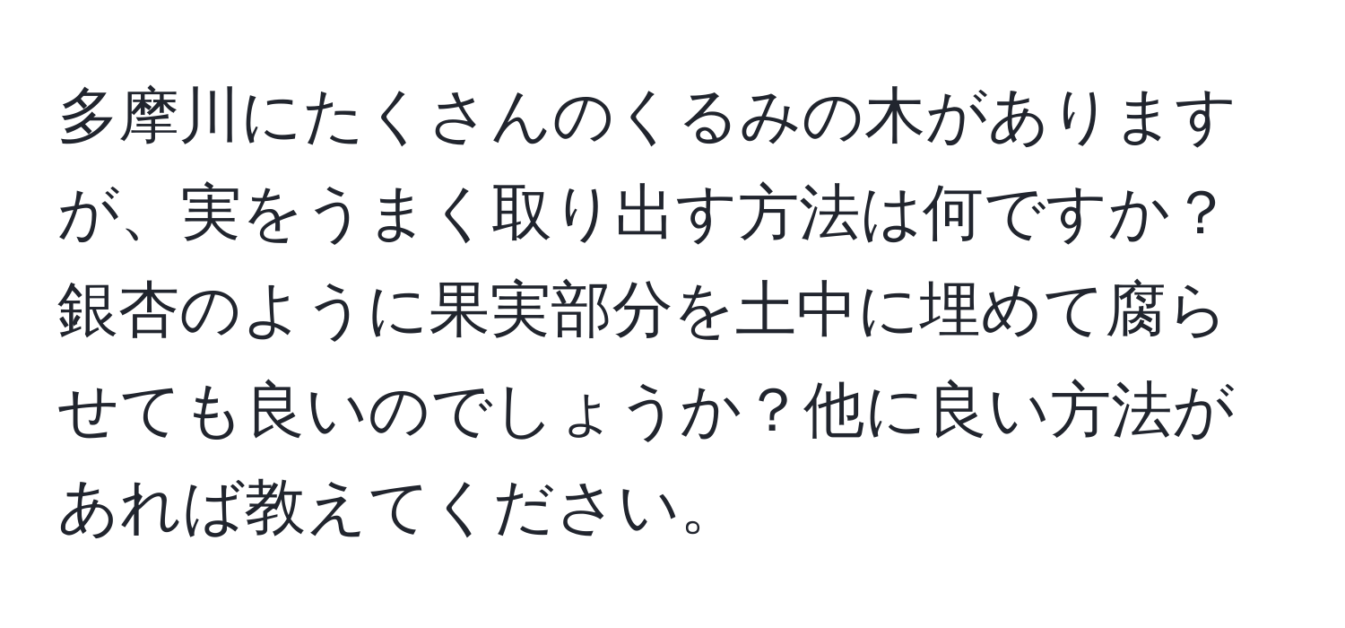 多摩川にたくさんのくるみの木がありますが、実をうまく取り出す方法は何ですか？銀杏のように果実部分を土中に埋めて腐らせても良いのでしょうか？他に良い方法があれば教えてください。