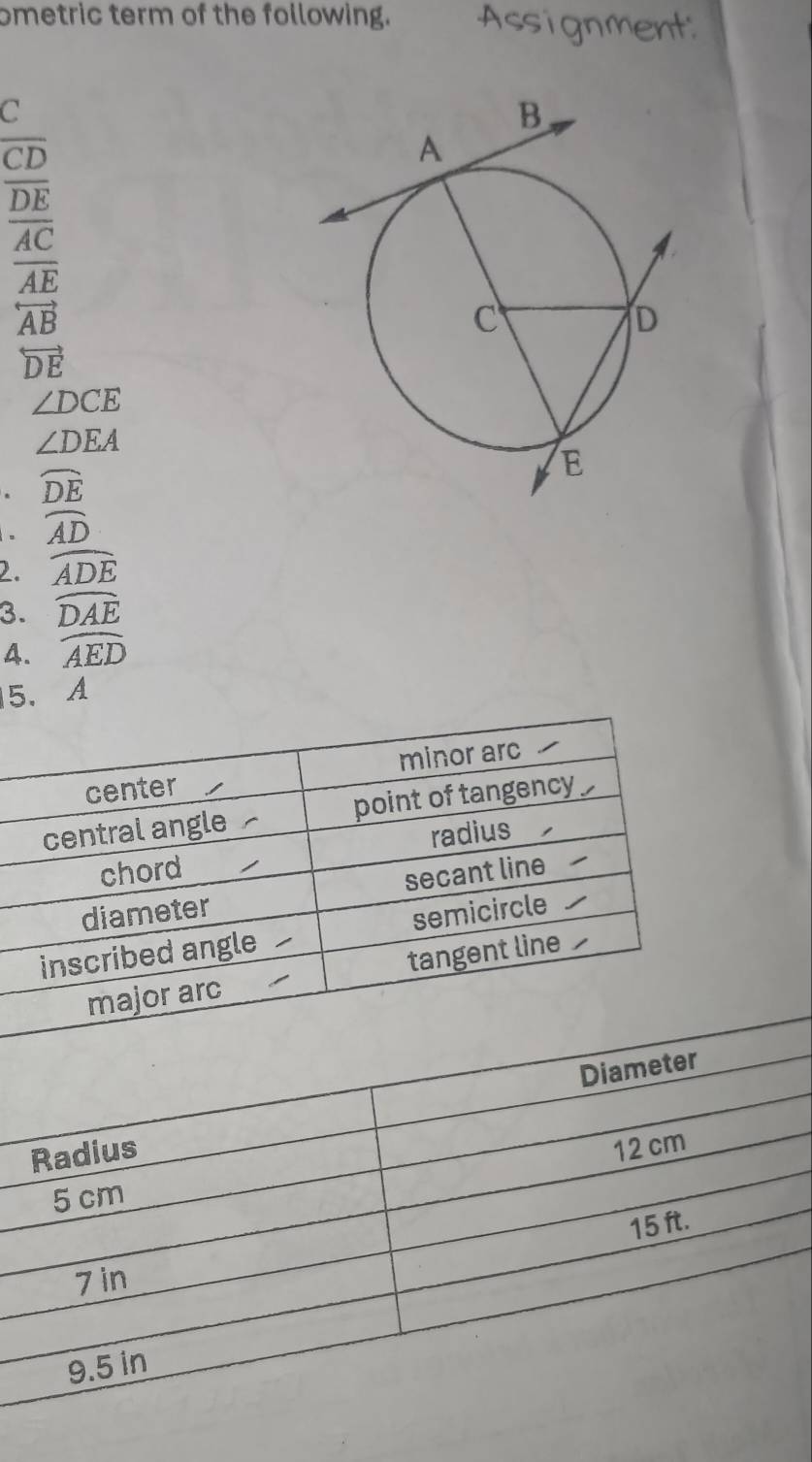 ometric term of the following. Assignment: 
C
overline CD
frac overline DEAC
overline AE
overleftrightarrow AB
overleftrightarrow DE
∠ DCE
∠ DEA. widehat DE. widehat AD
2. widehat ADE
3. widehat DAE
4. widehat AED
5、 A