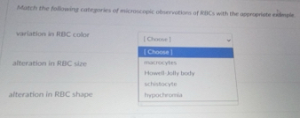 Solved: Match the following categories of microscapic observations of ...