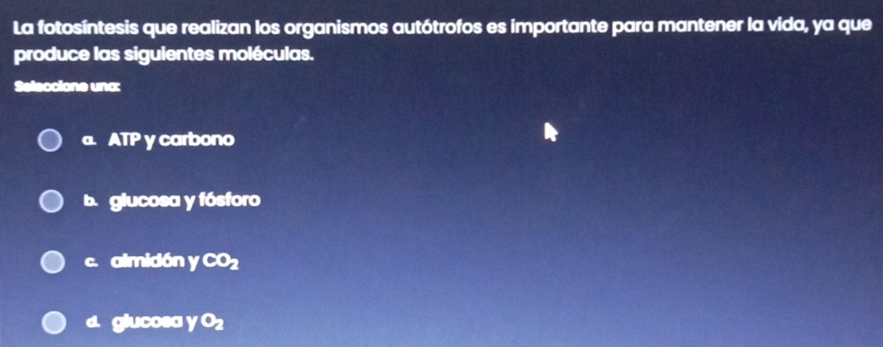 La fotosíntesis que realizan los organismos autótrofos es importante para mantener la vida, ya que
produce las siguientes moléculas.
Seleccione una:
a. ATP y carbono
b. glucosa y fósforo
c. almidón yCO_2
d. glucoea yO_2