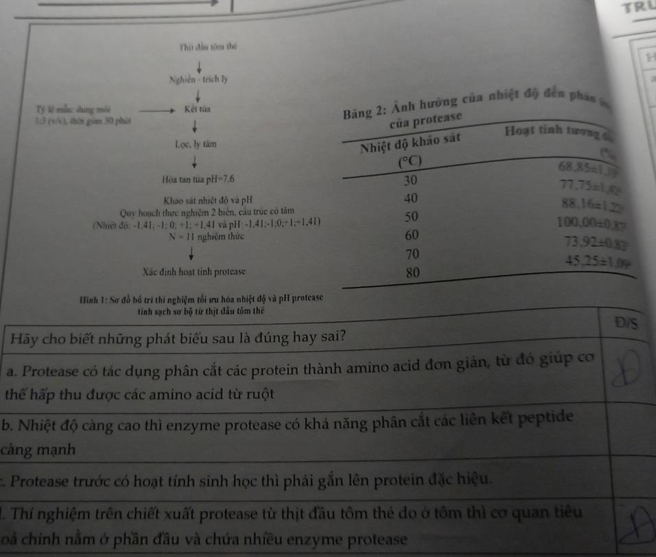 TRL
Thịt đầu tôm thế
H
Nghiên - trích ly a
T lệ mẫu: dúng môi Kết tửa
1:3 (s/v), thin gian.30 phit
h hưởng của nhiệt độ đen pha 
Lọc, ly tâm
Hòa tan tủa pH=7.6
Khao sát nhiệt độ và pH
Quy hoạch thực nghiệm 2 biển, cầu trúc có tâm
(Nhiệt độ: -1.41;-1;0;+1;-1.41 vå pH: -1,41;-1;0;+1;+1,4
N=11 nghiệm thức
Xác định hoạt tỉnh protease
Hình 1: Sơ đồ bố trí thi nghiệm tối ưu hóa nhiệt độ và pH protea
tinh sạch sơ bộ từ thịt đầu tôm thể
D/S
Hãy cho biết những phát biểu sau là đúng hay sai?
a. Protease có tác dụng phân cắt các protein thành amino acid đơn giản, từ đó giúp cơ
thể hấp thu được các amino acid từ ruột
b. Nhiệt độ càng cao thì enzyme protease có khả năng phân cắt các liên kết peptide
càng mạnh
c. Protease trước có hoạt tính sinh học thì phái gắn lên protein đặc hiệu.
M. Thí nghiệm trên chiết xuất protease từ thịt đầu tôm thẻ do ở tôm thì cơ quan tiêu
oả chính nằm ở phần đầu và chứa nhiều enzyme protease