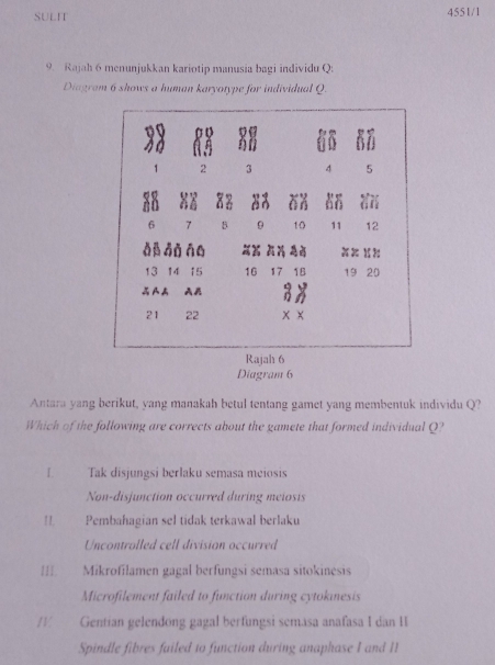 SULIT 4551/1
9. Rajah 6 menunjukkan kariotip manusia bagi individu Q:
Diagram 6 shows a human karyotype for individual Q.
Diagram 6
Antara yang berikut, yang manakah betul tentang gamet yang membentuk individu Q?
Which of the following are corrects about the gamete that formed individual Q?
I. Tak disjungsi berlaku semasa meiosis
Non-disjunction occurred during meiosis
1 Pembahagian sel tidak terkawal berlaku
Uncontrolled cell division occurred
I Mikrofilamen gagal berfungsi semasa sitokinesis
Microfilement failed to function during cytokinesis
W Gentian gelendóng gagal berfungsi semasa anafasa I dan II
Spindle fibres failed to function during anaphase I and II