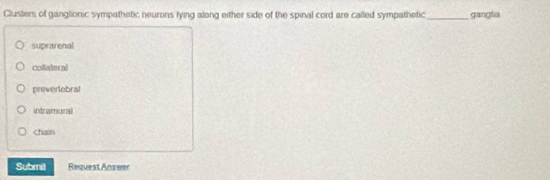 Clusters of ganglionic sympathetic neurons lying along either side of the spinal cord are called sympathetic_ gangtia
suprarenal
collateral
provertebral
intramural
chain
Submil Request Answer