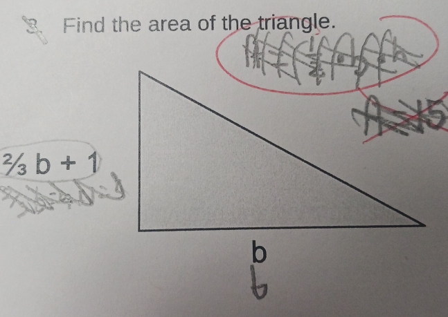 Find the area of the triangle.
^2/3b+1