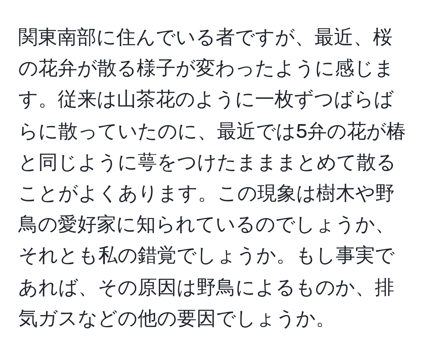 関東南部に住んでいる者ですが、最近、桜の花弁が散る様子が変わったように感じます。従来は山茶花のように一枚ずつばらばらに散っていたのに、最近では5弁の花が椿と同じように萼をつけたまままとめて散ることがよくあります。この現象は樹木や野鳥の愛好家に知られているのでしょうか、それとも私の錯覚でしょうか。もし事実であれば、その原因は野鳥によるものか、排気ガスなどの他の要因でしょうか。