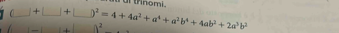 ai trinomi.
(□ +□ +□ )^2=4+4a^2+a^4+a^2b^4+4ab^2+2a^3b^2
D 2 
— +