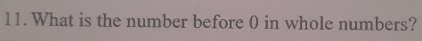 What is the number before 0 in whole numbers?