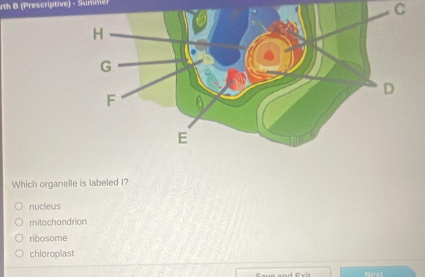 rth B (Prescriptive) - Summ 
C
Which organelle is labeled I?
nucleus
mitochondrion
ribosome
chloroplast
Next