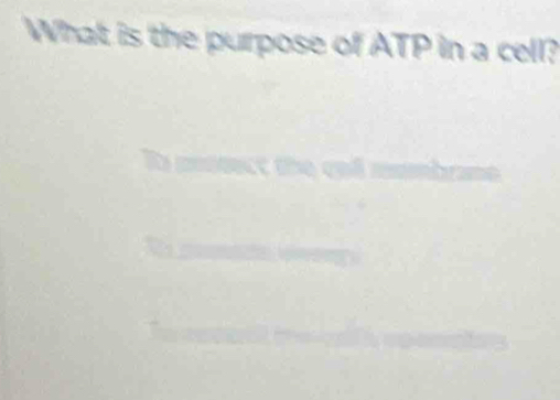 What is the purpose of ATP in a cell?