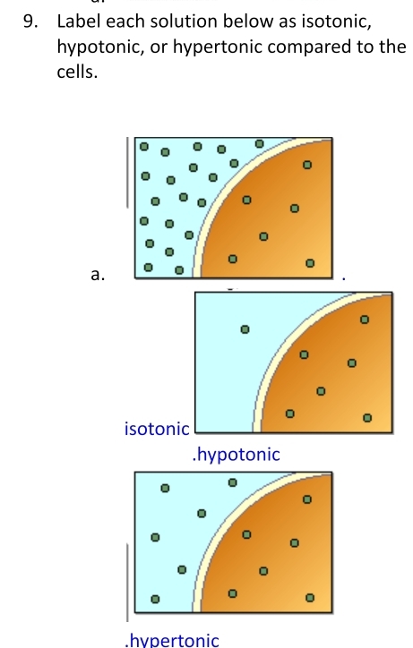 Label each solution below as isotonic,
hypotonic, or hypertonic compared to the
cells.
a.
isoton.hypotonic.hypertonic