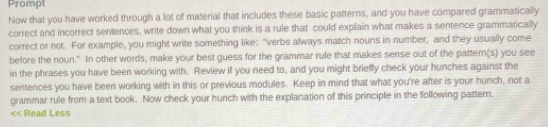 Prompt 
Now that you have worked through a lot of material that includes these basic patterns, and you have compared grammatically 
correct and incorrect sentences, write down what you think is a rule that could explain what makes a sentence grammatically 
correct or not. For example, you might write something like: "verbs always match nouns in number, and they usually come 
before the noun." In other words, make your best guess for the grammar rule that makes sense out of the pattern(s) you see 
in the phrases you have been working with. Review if you need to, and you might briefly check your hunches against the 
sentences you have been working with in this or previous modules. Keep in mind that what you're after is your hunch, not a 
grammar rule from a text book. Now check your hunch with the explanation of this principle in the following pattern. 
< Read Less