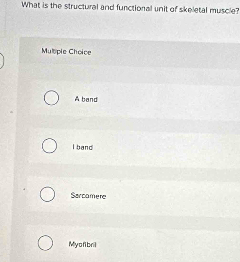 What is the structural and functional unit of skeletal muscle?
Multiple Choice
A band
I band
Sarcomere
Myofibril