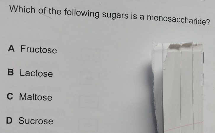 Which of the following sugars is a monosaccharide?
A Fructose
B Lactose
C Maltose
D Sucrose