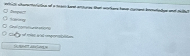 which chancteristics of a team best enouses that wekers have cument inowledgs and dellict
Respect
aning
Oral communications
Cafy of roles and responsiblteues
SUBMITANSWER