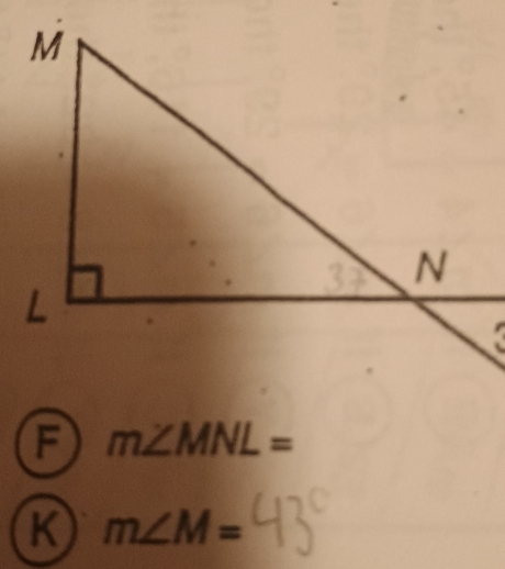 m∠ MNL=
m∠ M=