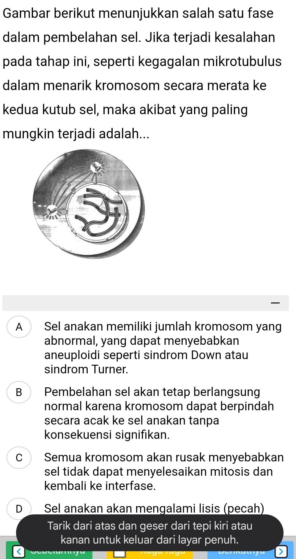 Gambar berikut menunjukkan salah satu fase
dalam pembelahan sel. Jika terjadi kesalahan
pada tahap ini, seperti kegagalan mikrotubulus
dalam menarik kromosom secara merata ke
kedua kutub sel, maka akibat yang paling
mungkin terjadi adalah...
A Sel anakan memiliki jumlah kromosom yang
abnormal, yang dapat menyebabkan
aneuploidi seperti sindrom Down atau
sindrom Turner.
B Pembelahan sel akan tetap berlangsun
normal karena kromosom dapat berpindah
secara acak ke sel anakan tanpa
konsekuensi signifıkan.
C Semua kromosom akan rusak menyebabkan
sel tidak dapat menyelesaikan mitosis dan
kembali ke interfase.
D Sel anakan akan mengalami lisis (pecah)
Tarik dari atas dan geser dari tepi kiri atau
kanan untuk keluar dari layar penuh.