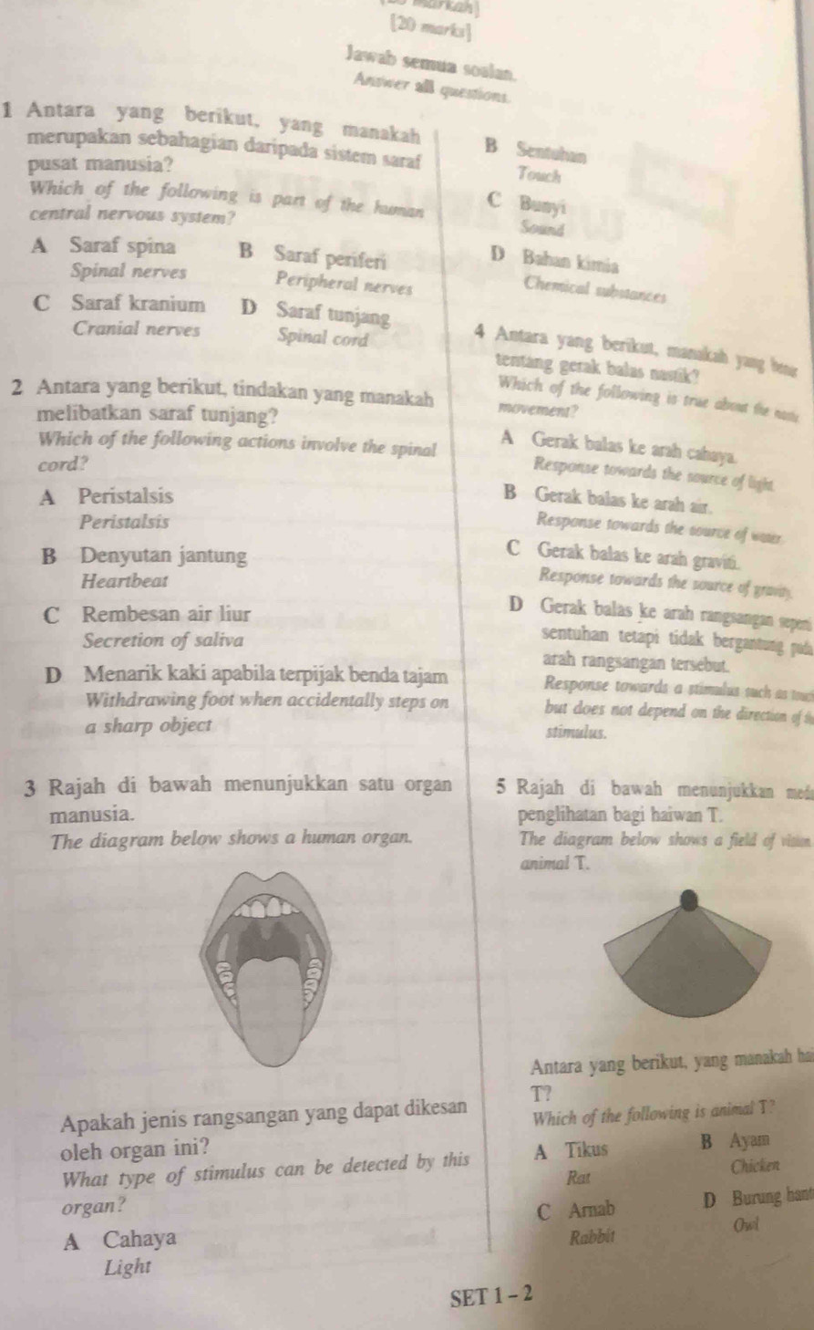 markah 
[20 marks]
Jawab semua soalan.
Answer all questions.
1 Antara yang berikut, yang manakah B Sentoban
merupakan sebahagian daripada sistem saraf Touch
pusat manusia?
C Bunyi
Which of the following is part of the human Sound
central nervous system?
A Saraf spina B Saraf periferi
D Bahan kimia
Spinal nerves Peripheral nerves
Chemical substances
C Saraf kranium D Saraf tunjang
4 Antara yang berikut, manakah yang be
Cranial nerves Spinal cord tentang gerak balas naslik?
2 Antara yang berikut, tindakan yang manakah Which of the following is true about the nase
melibatkan saraf tunjang?
movement?
Which of the following actions involve the spinal
A Gerak balas ke arah cahaya.
cord?
Response towards the source of light.
A Peristalsis B Gerak balas ke arah air.
Peristalsis
Response towards the source of water
B Denyutan jantung
C Gerak balas ke arah graviti.
Heartbeat
Response towards the source of gravity
C Rembesan air liur
D Gerak balas ke arah rangsangan sepeni
sentuhan tetapi tidak bergantung puda
Secretion of saliva arah rangsangan tersebut.
D Menarik kaki apabila terpijak benda tajam Response towards a stimulus tuch as tou
Withdrawing foot when accidentally steps on but does not depend on the direction of th
a sharp object stimulus.
3 Rajah di bawah menunjukkan satu organ 5 Rajah di bawah menunjukkan medo
manusia. penglihatan bagi haiwan T.
The diagram below shows a human organ. The diagram below shows a field of vision
animal T.
Antara yang berikut, yang manakah ha
T?
Apakah jenis rangsangan yang dapat dikesan
Which of the following is animal T?
oleh organ ini? A Tikus B Ayam
What type of stimulus can be detected by this
Chicken
Rat
organ? C Arnab
D Burung hant
A Cahaya Rabbit Owl
Light
SET 1 - 2