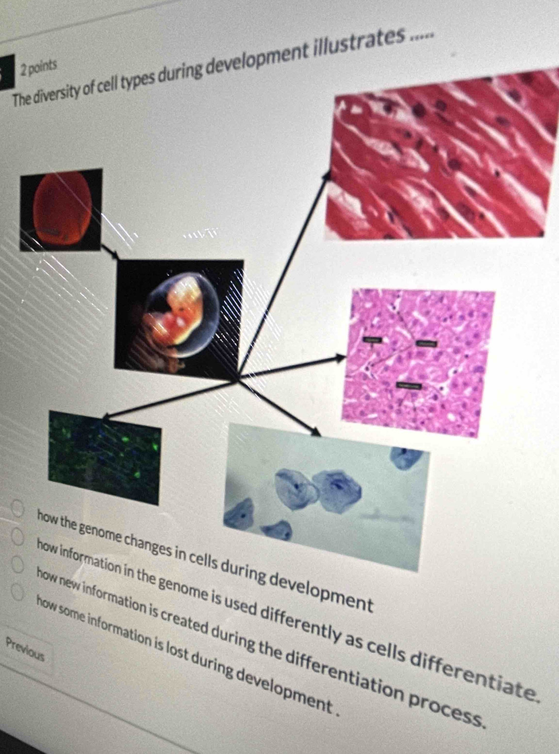 The diversity of cell types during development illustrates ..... 2
now the genome changes in cells during development
nome is used differently as cells differentiate
information is created during the differentiation process
Previous
now some information is lost during development