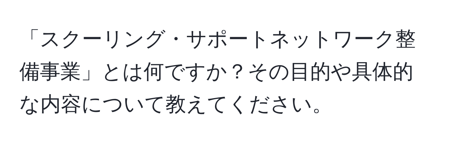 「スクーリング・サポートネットワーク整備事業」とは何ですか？その目的や具体的な内容について教えてください。