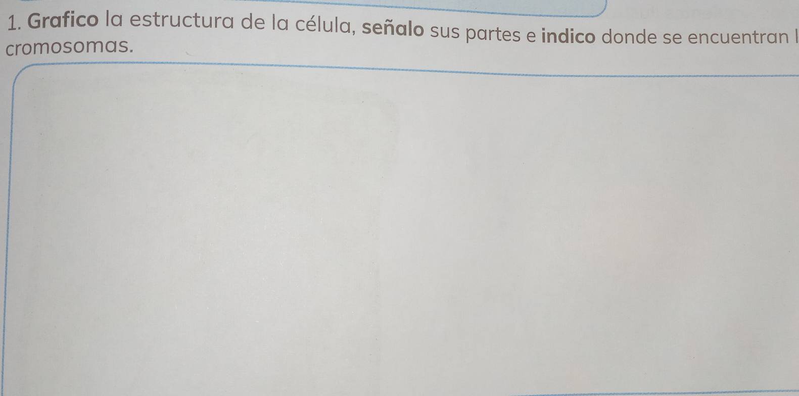 Grafico la estructura de la célula, señalo sus partes e indico donde se encuentran l 
cromosomas.