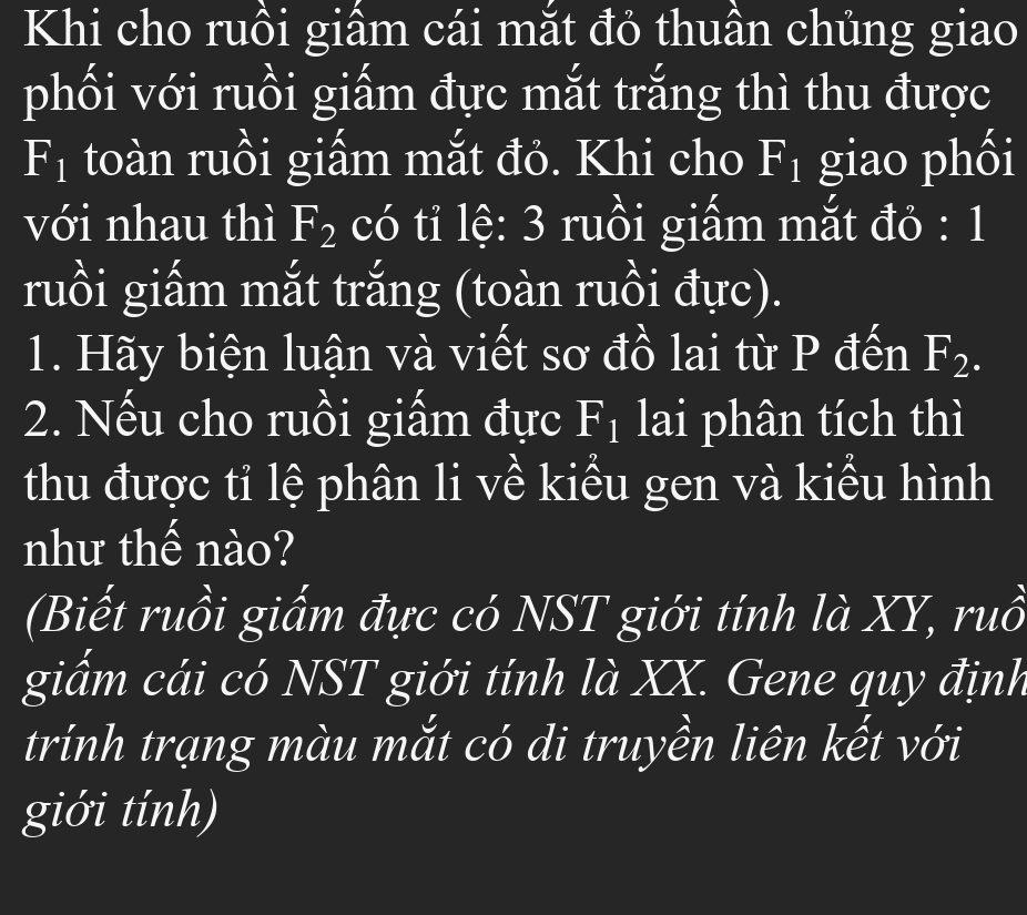 Khi cho ruồi giâm cái mắt đỏ thuần chủng giao 
phối với ruồi giấm đực mắt trắng thì thu được
F_1 toàn ruồi giấm mắt đỏ. Khi cho F_1 giao phối 
với nhau thì F_2 có tỉ lệ: 3 ruồi giấm mắt đỏ : 1 
ruồi giấm mắt trắng (toàn ruồi đực). 
1. Hãy biện luận và viết sơ đồ lai từ P đến F_2. 
2. Nếu cho ruồi giấm đực F_1 lai phân tích thì 
thu được tỉ lệ phân li về kiểu gen và kiểu hình 
như thế nào? 
(Biết ruồi giấm đực có NST giới tính là XY, ruồ 
giẩm cái có NST giới tính là XX. Gene quy định 
trính trạng màu mắt có di truyền liên kết với 
giới tính)