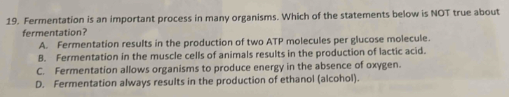 Fermentation is an important process in many organisms. Which of the statements below is NOT true about
fermentation?
A. Fermentation results in the production of two ATP molecules per glucose molecule.
B. Fermentation in the muscle cells of animals results in the production of lactic acid.
C. Fermentation allows organisms to produce energy in the absence of oxygen.
D. Fermentation always results in the production of ethanol (alcohol).