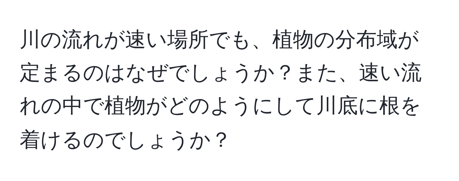 川の流れが速い場所でも、植物の分布域が定まるのはなぜでしょうか？また、速い流れの中で植物がどのようにして川底に根を着けるのでしょうか？