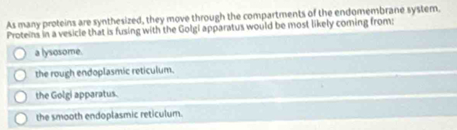 As many proteins are synthesized, they move through the compartments of the endomembrane system.
Proteins in a vesicle that is fusing with the Golgi apparatus would be most likely coming from:
a lysosome.
the rough endoplasmic reticulum.
the Golgi apparatus.
the smooth endoplasmic reticulum.