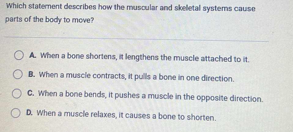 Which statement describes how the muscular and skeletal systems cause
parts of the body to move?
A. When a bone shortens, it lengthens the muscle attached to it.
B. When a muscle contracts, it pulls a bone in one direction.
C. When a bone bends, it pushes a muscle in the opposite direction.
D. When a muscle relaxes, it causes a bone to shorten.