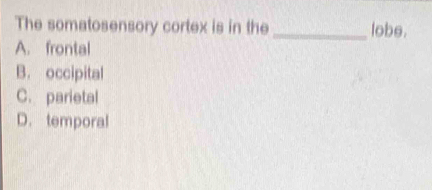 The somatosensory cortex is in the lobe.
A. frontal
B. occipital
C. parietal
D. temporal