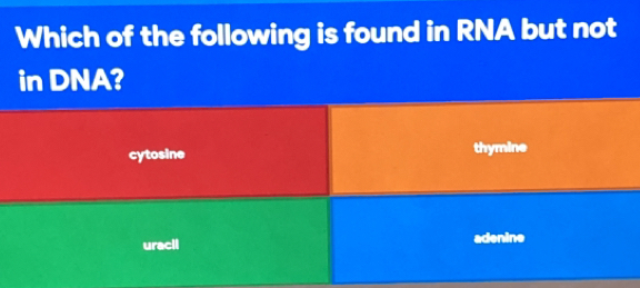 Which of the following is found in RNA but not
in DNA?
cytosine thymine
uracil adenine