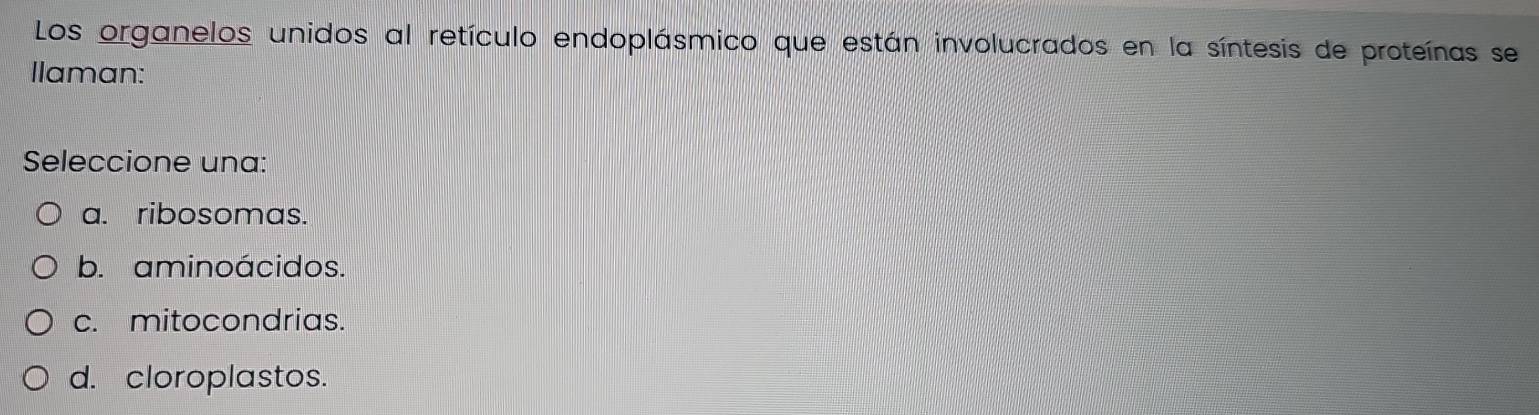 Los organelos unidos al retículo endoplásmico que están involucrados en la síntesis de proteínas se
Ilaman:
Seleccione una:
a. ribosomas.
b. aminoácidos.
c. mitocondrias.
d. cloroplastos.