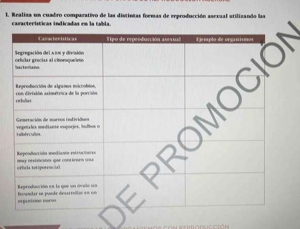 Realiza un cuadro comparativo de las distintas formas de reproducción asexual utilizando las 
características indicadas en la tabla.